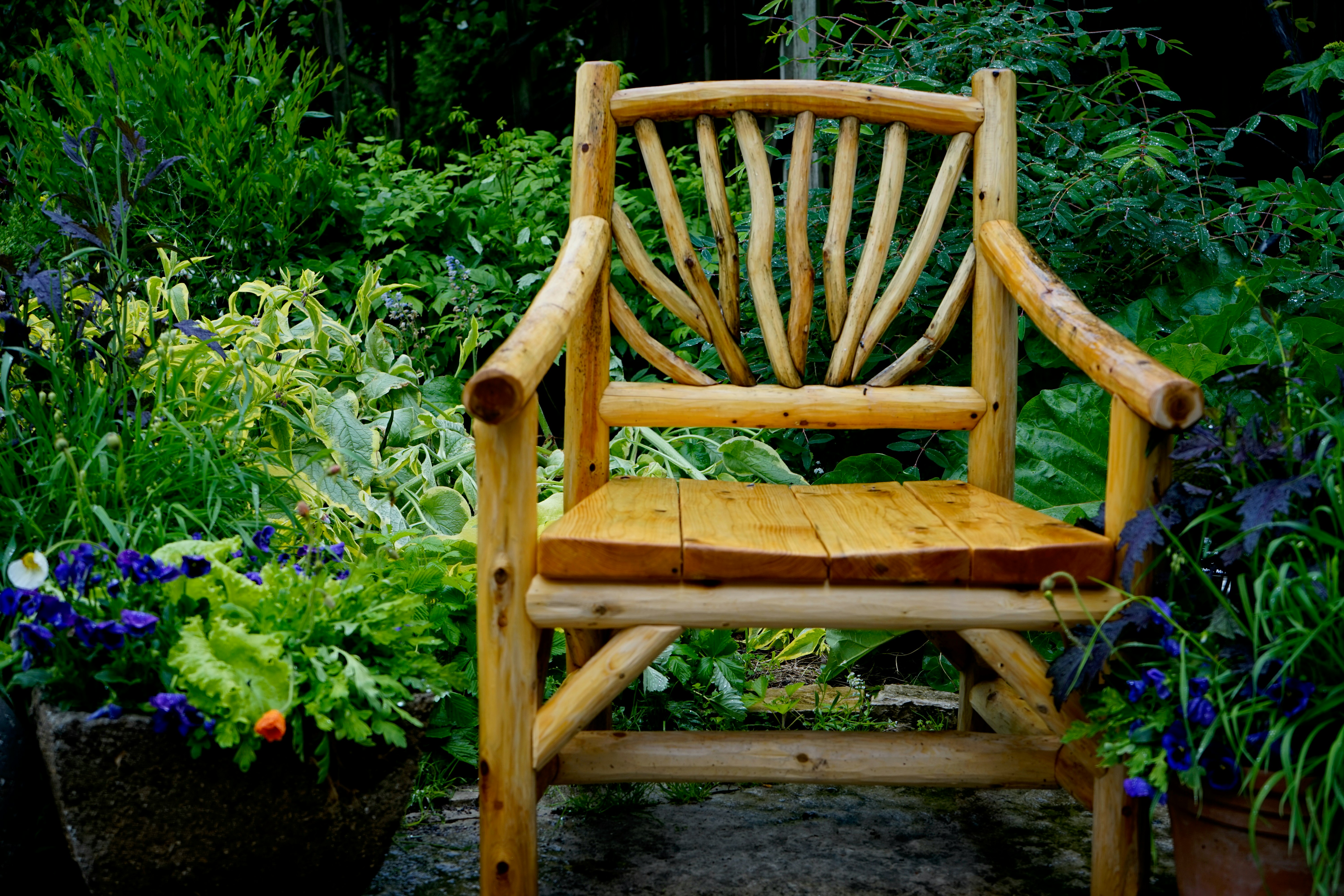 brown wooden armchair beside green plants