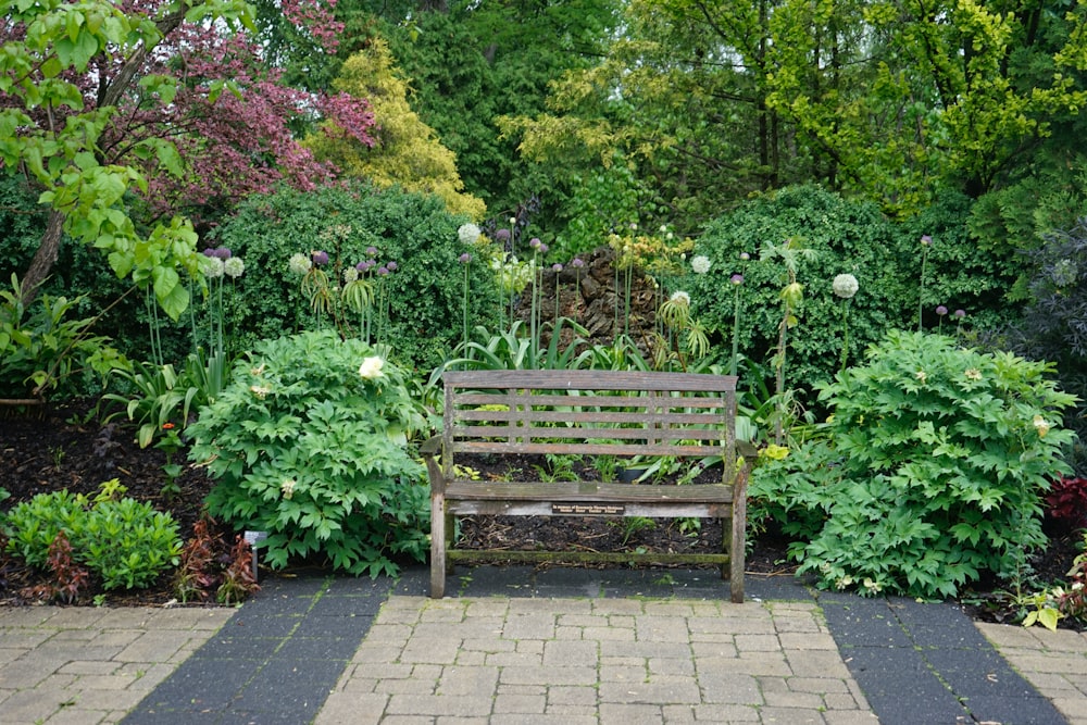 brown wooden bench beside green plants