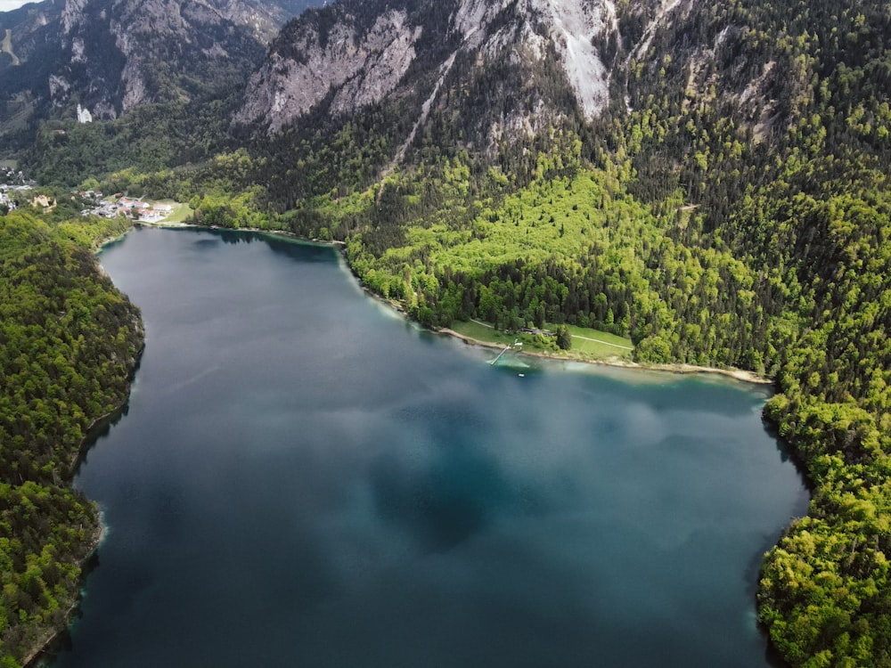 Grüne Bäume in der Nähe von See und Berg tagsüber