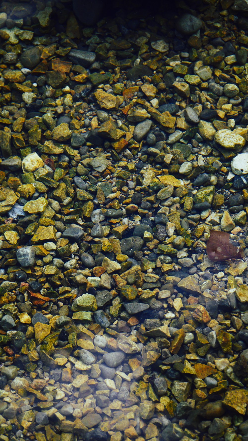 brown and gray stones on body of water