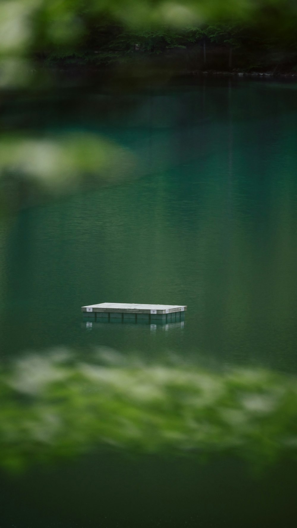 white wooden dock on lake during daytime