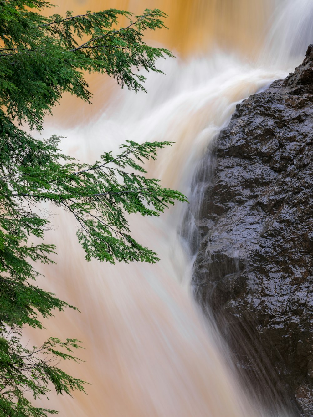 green tree near waterfalls during daytime