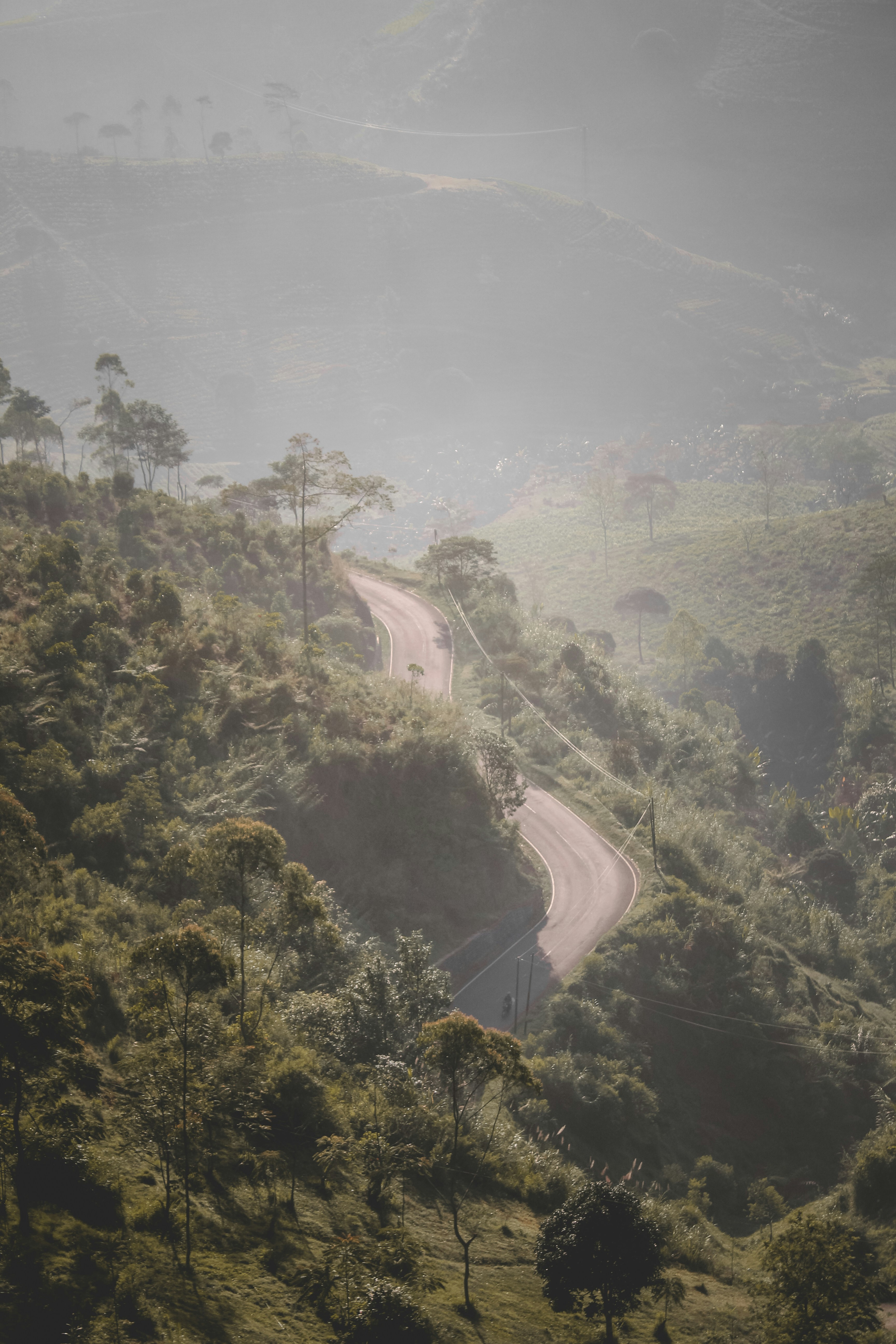 Ooty hill station panoramic view, tea gardens, misty mountains, winding roads