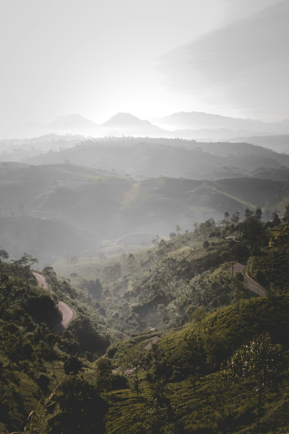 green and brown mountains during daytime