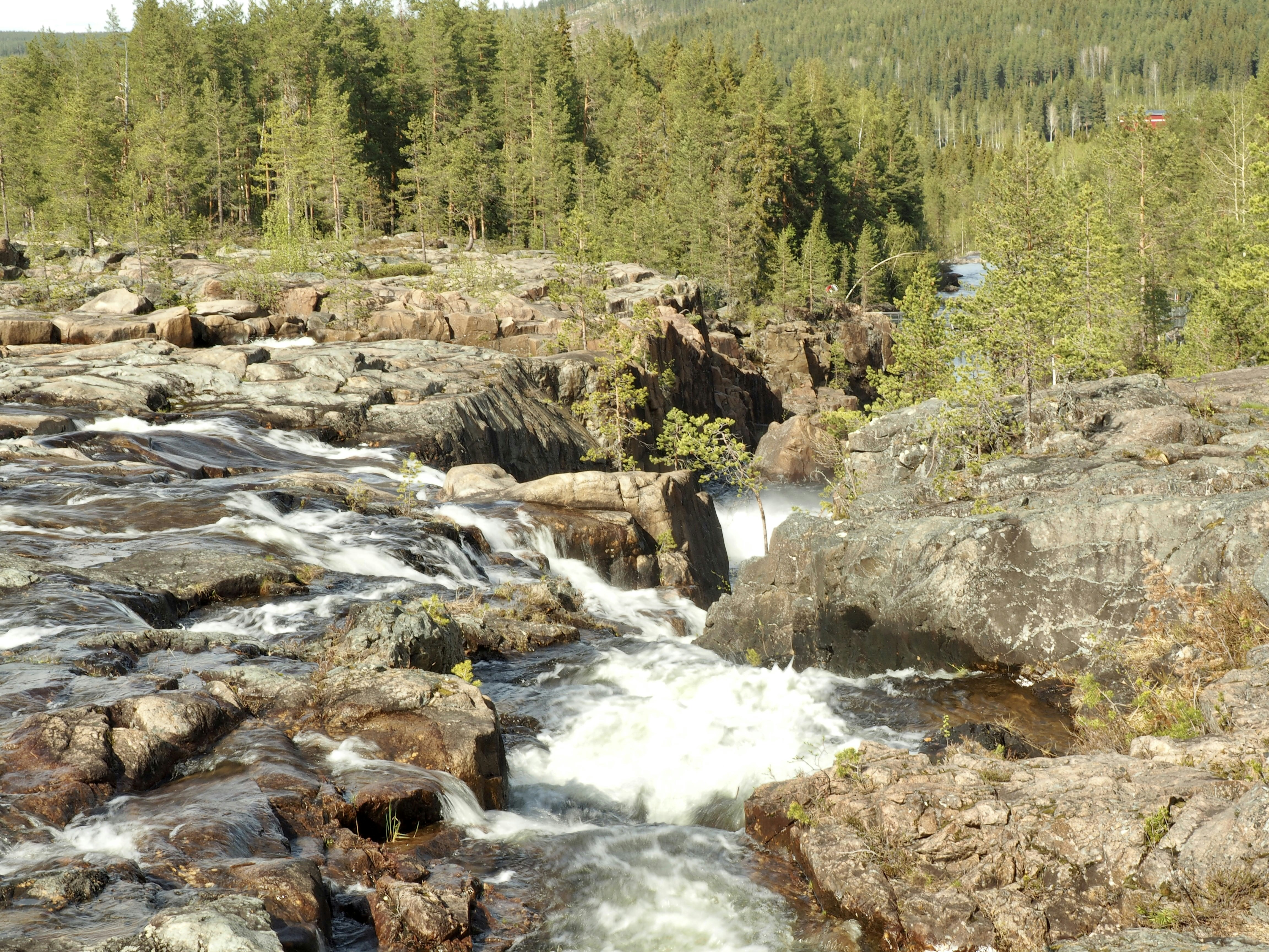 Photo by julieelesiv