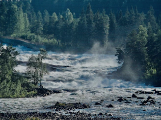 The mighty Congo River flowing powerfully through dense tropical rainforest.