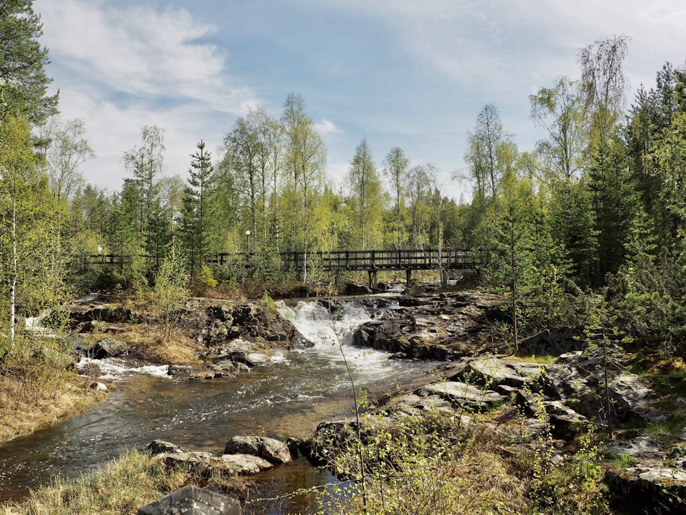 green trees near river under white clouds and blue sky during daytime