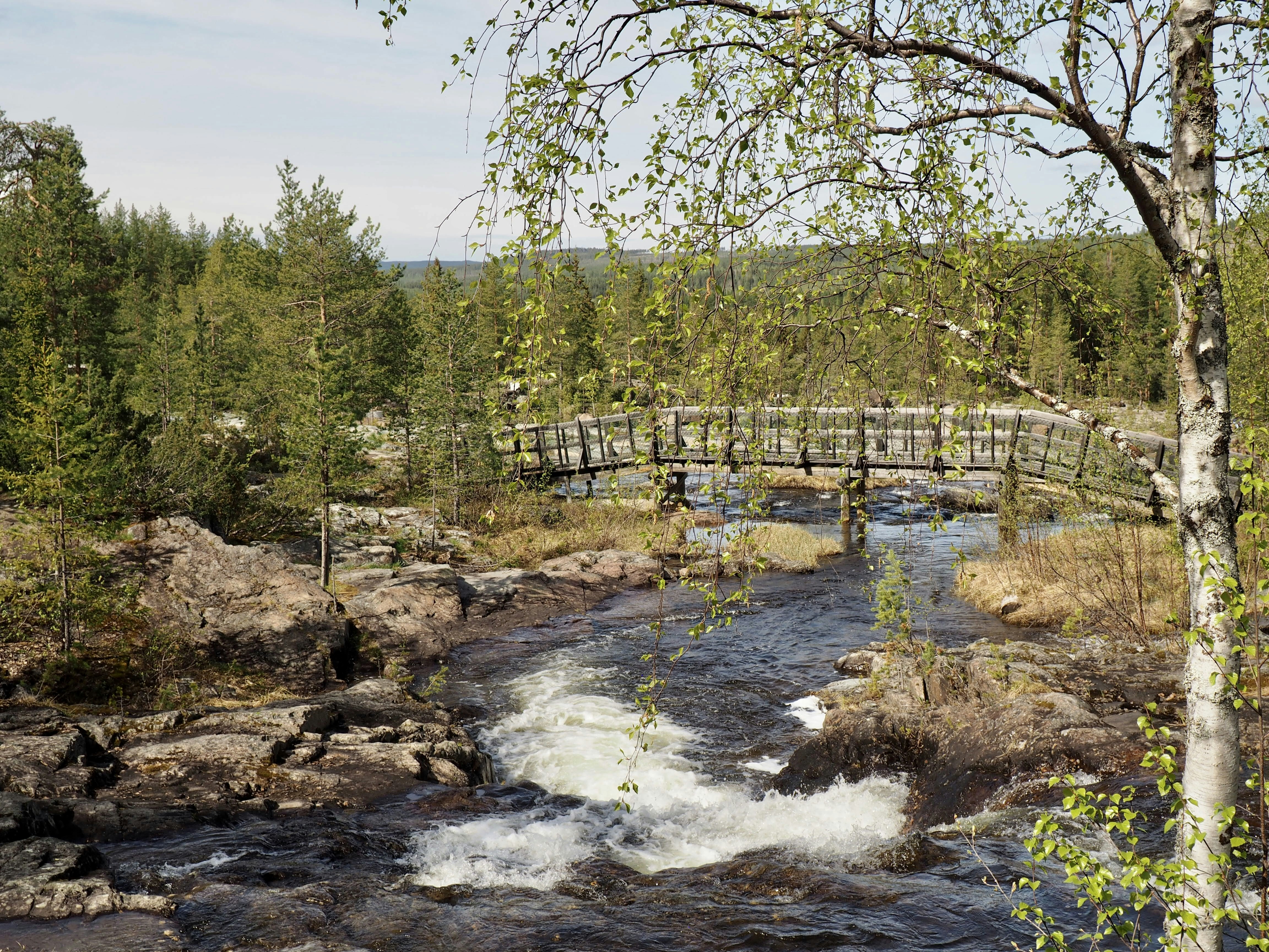 Photo by julieelesiv