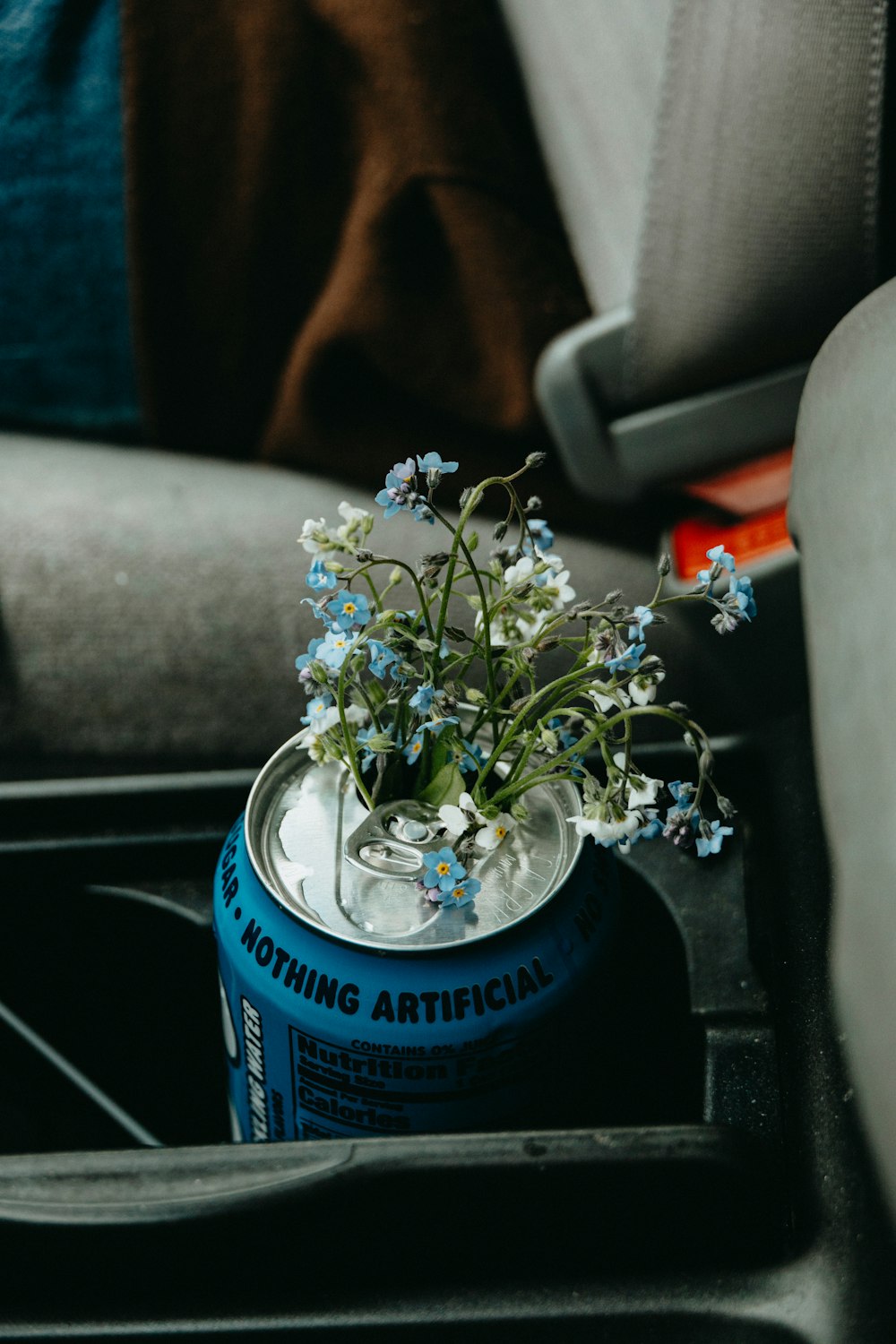 white flowers in blue can