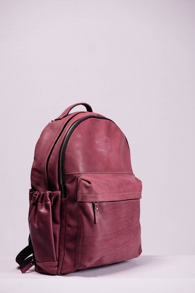 Backpack Traveler - Image 2