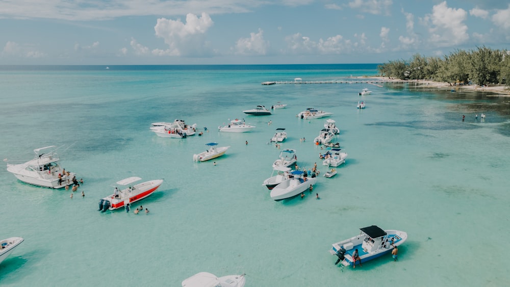 Weiße und rote Boote auf See tagsüber