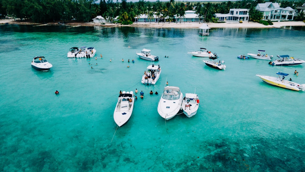 white and blue boats on sea during daytime