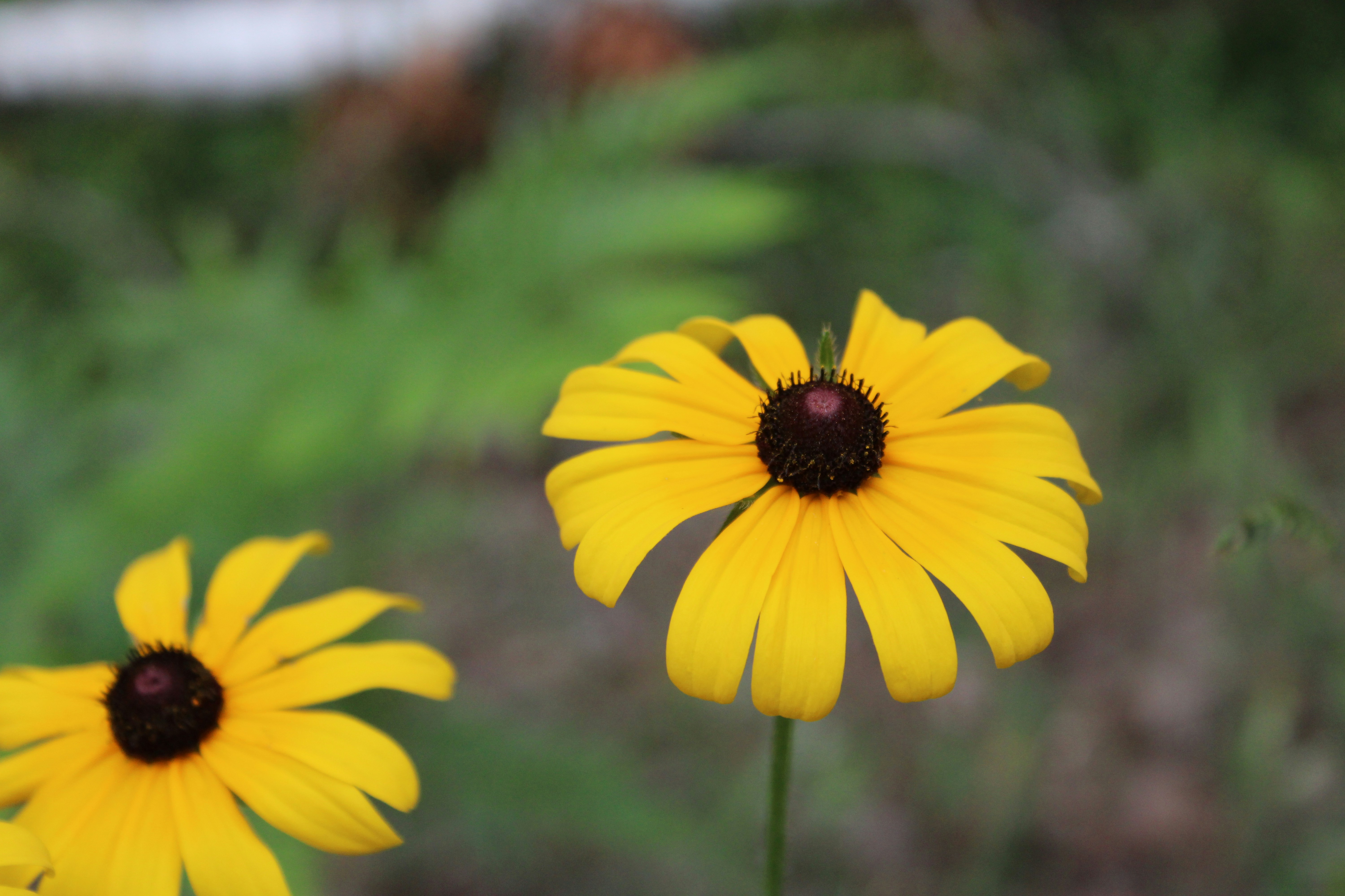 Photo by studerphotography