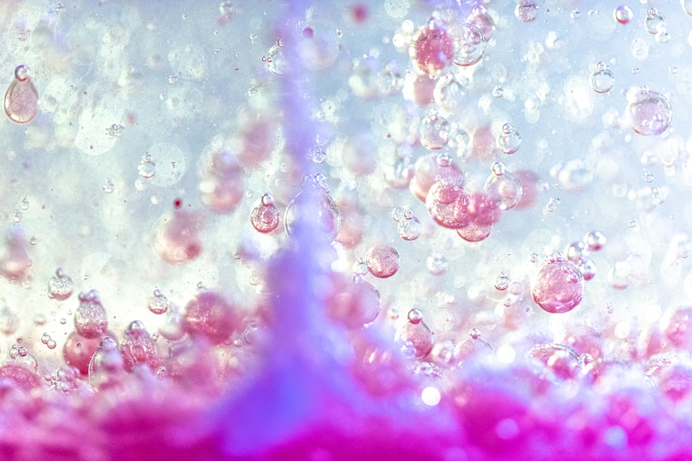 pink and white bubbles on water