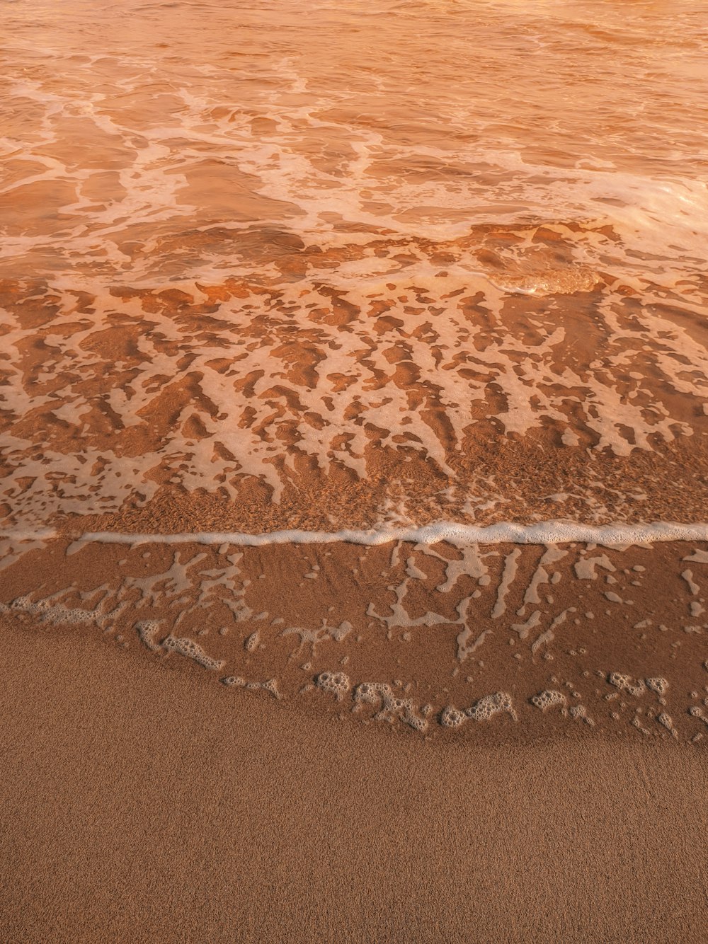 Playa de arena marrón durante el día
