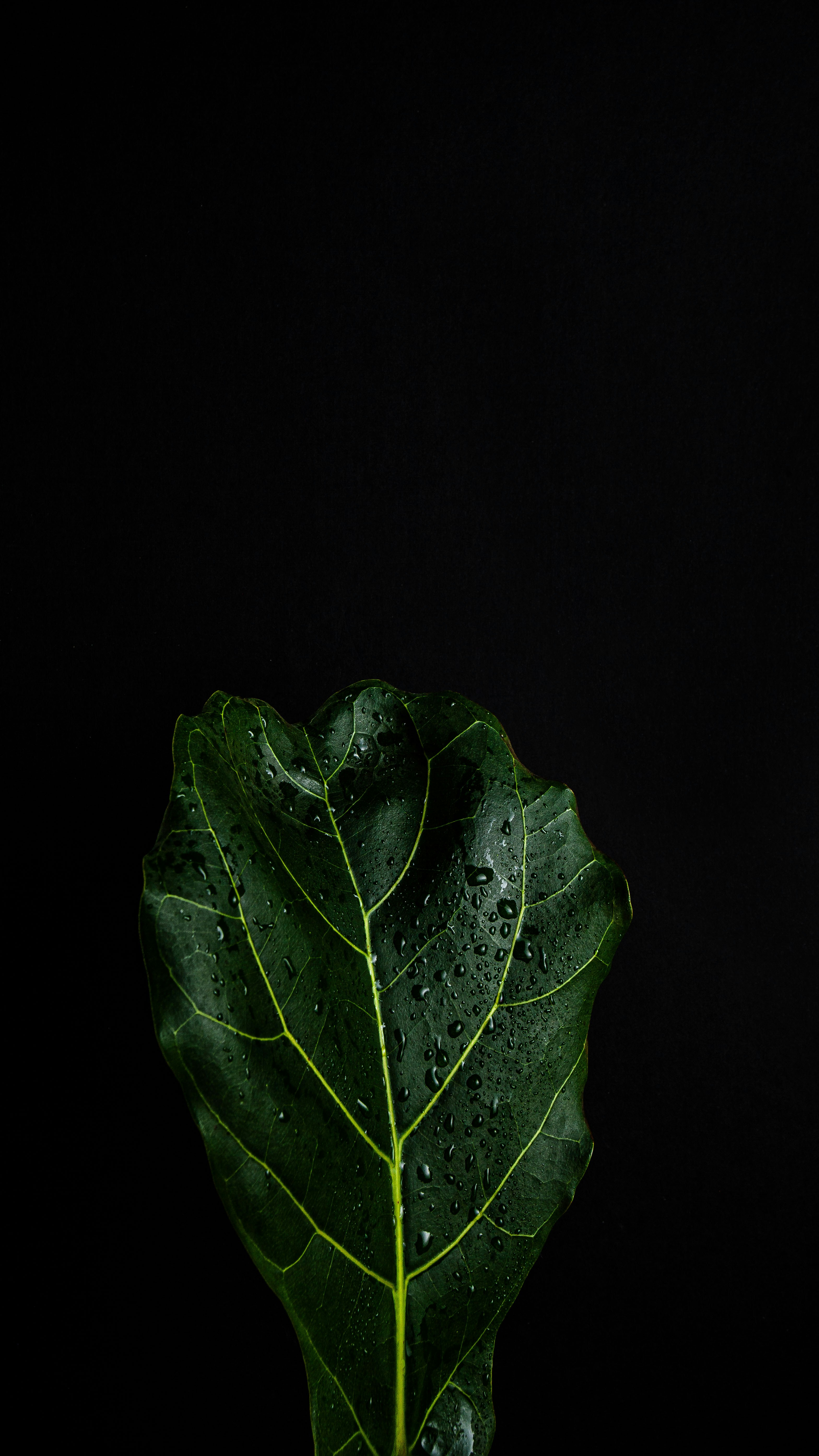 Photo by lydia_mailloux