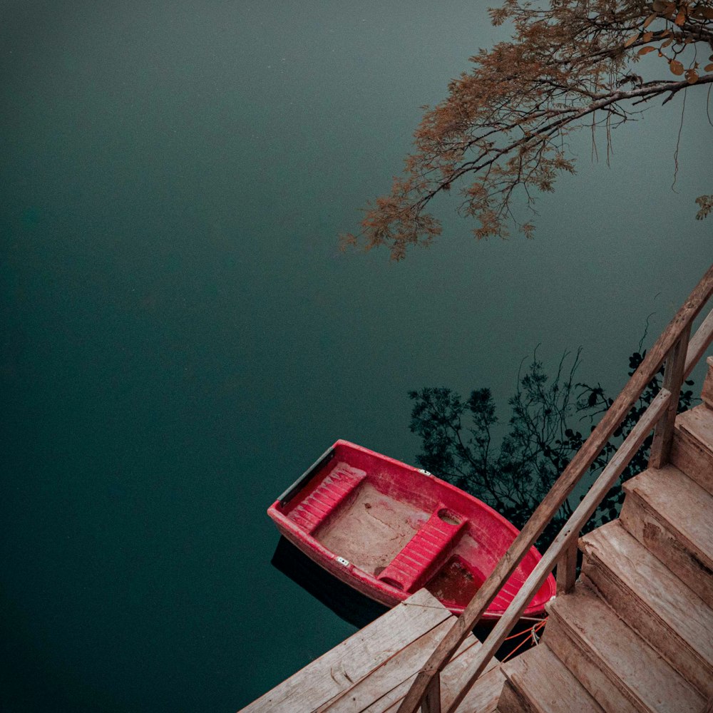 red wooden dock near brown bare tree during daytime