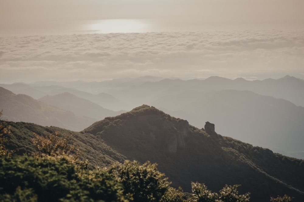 green trees on mountain under white clouds during daytime