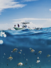 A boat is floating on a calm ocean with several people on board, partially submerged in water, revealing colorful tropical fish swimming below. The sky is clear with a few clouds, and other boats are visible in the background.