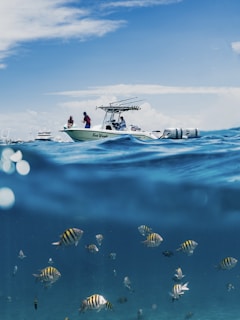 A boat is floating on a calm ocean with several people on board, partially submerged in water, revealing colorful tropical fish swimming below. The sky is clear with a few clouds, and other boats are visible in the background.