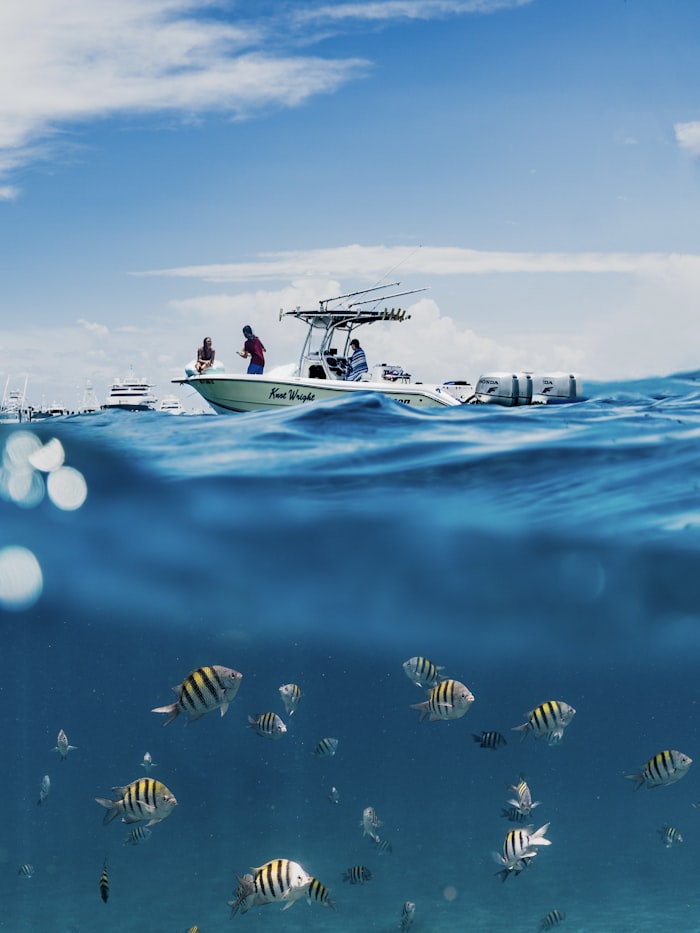 Fishing boat on calm tropical sea