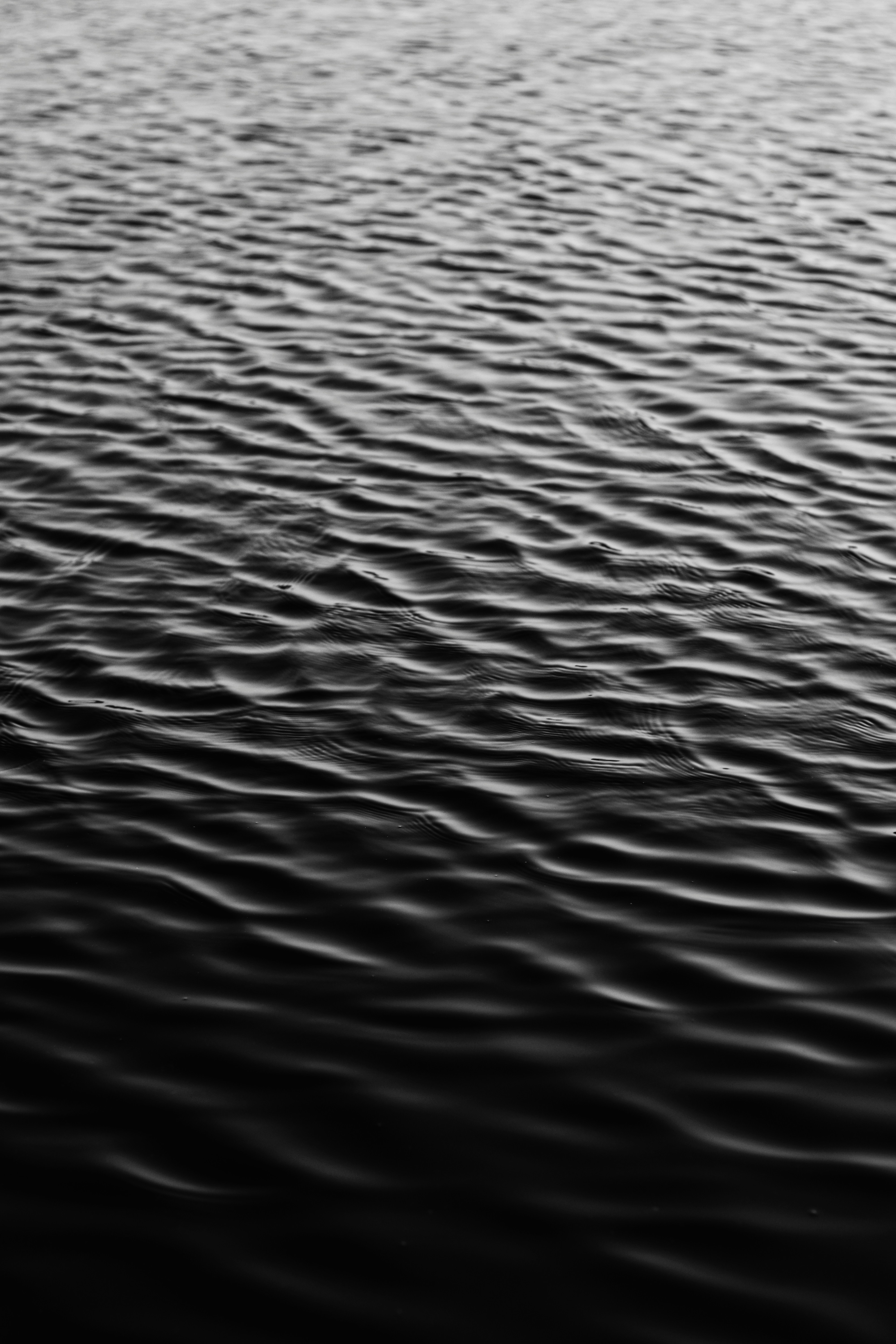 Photo by santo_stephen