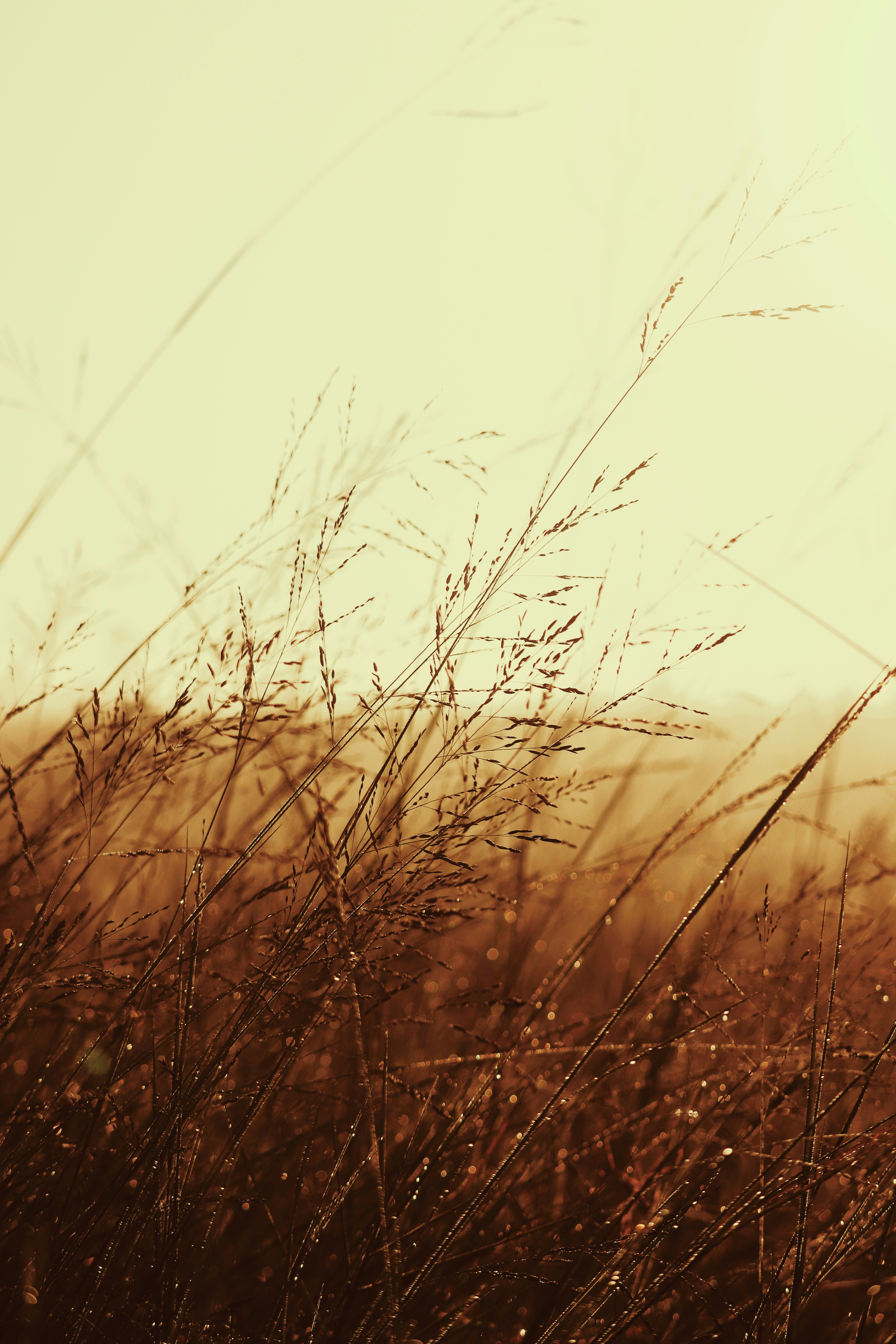 Photo by santo_stephen