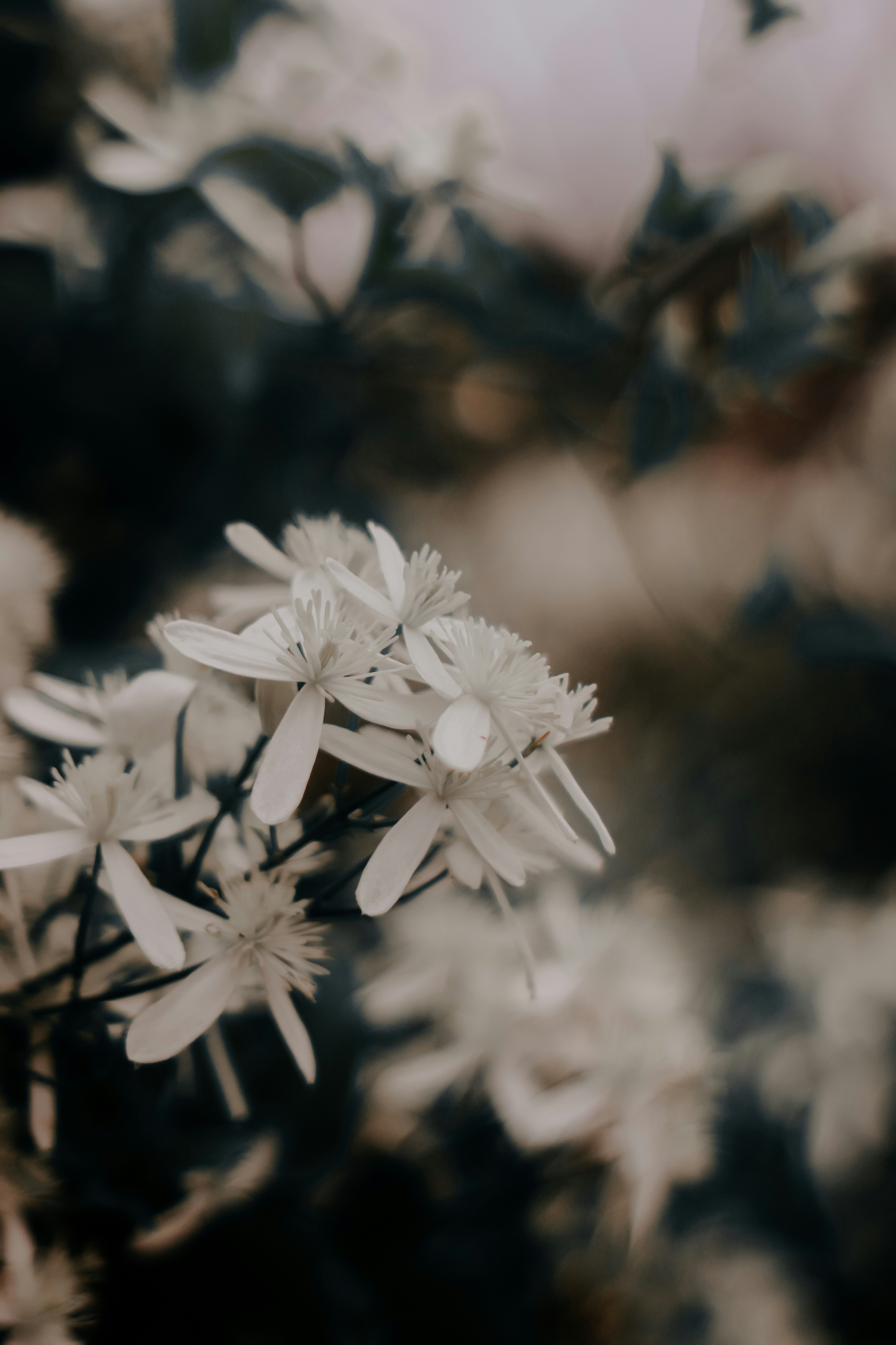 Photo by santo_stephen