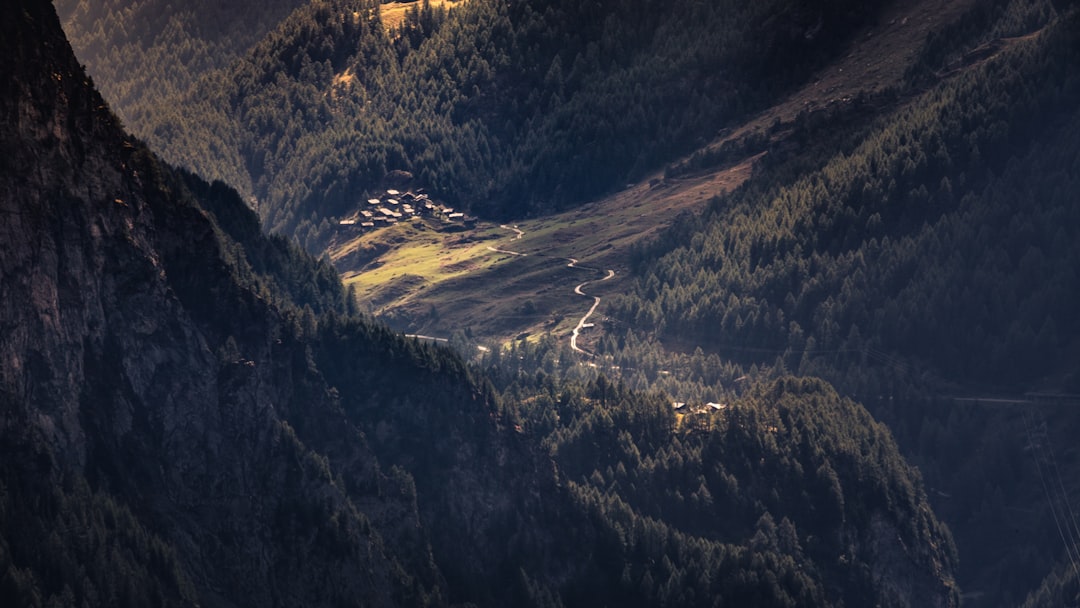 aerial view of green trees and mountains during daytime