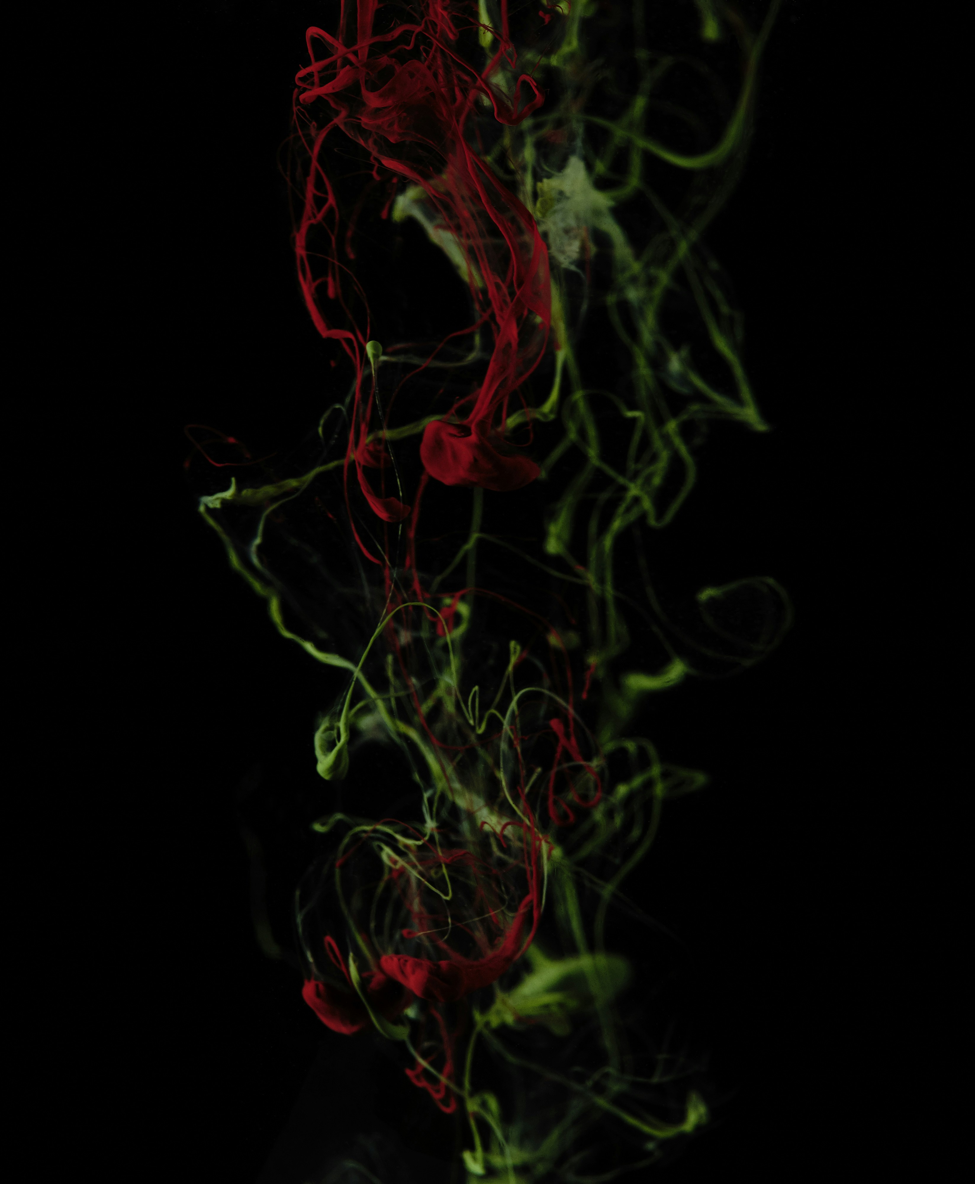 Photo by victor_vector