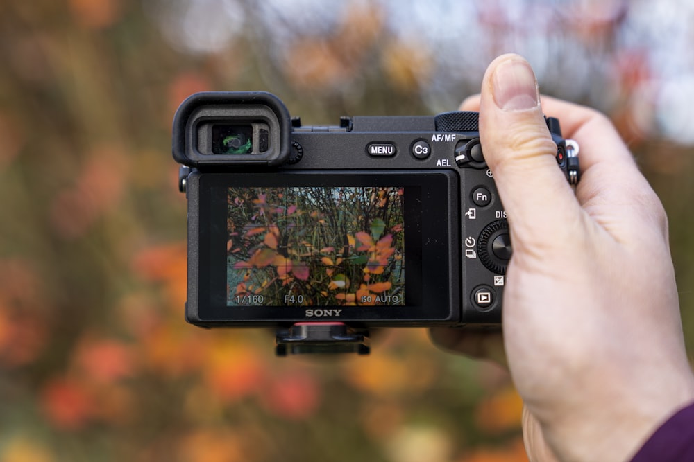 Person mit schwarzer DSLR-Kamera