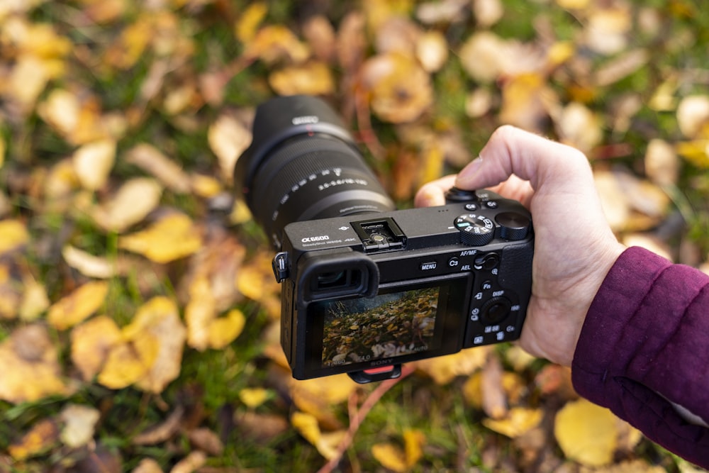 person holding black dslr camera