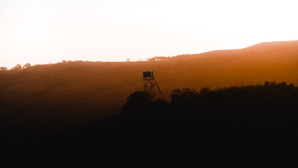 silhouette of trees during sunset