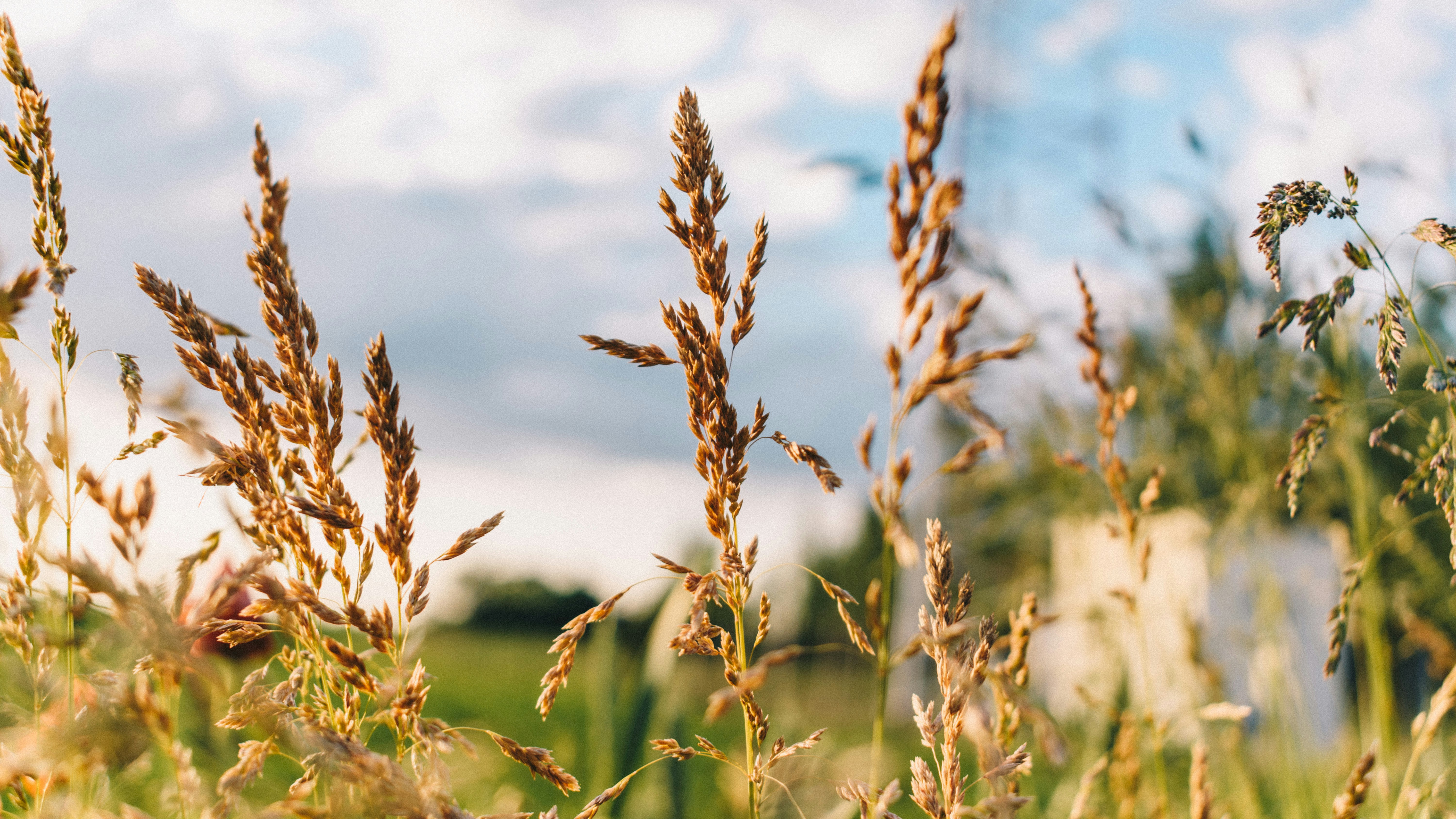 Photo by gabor_veres