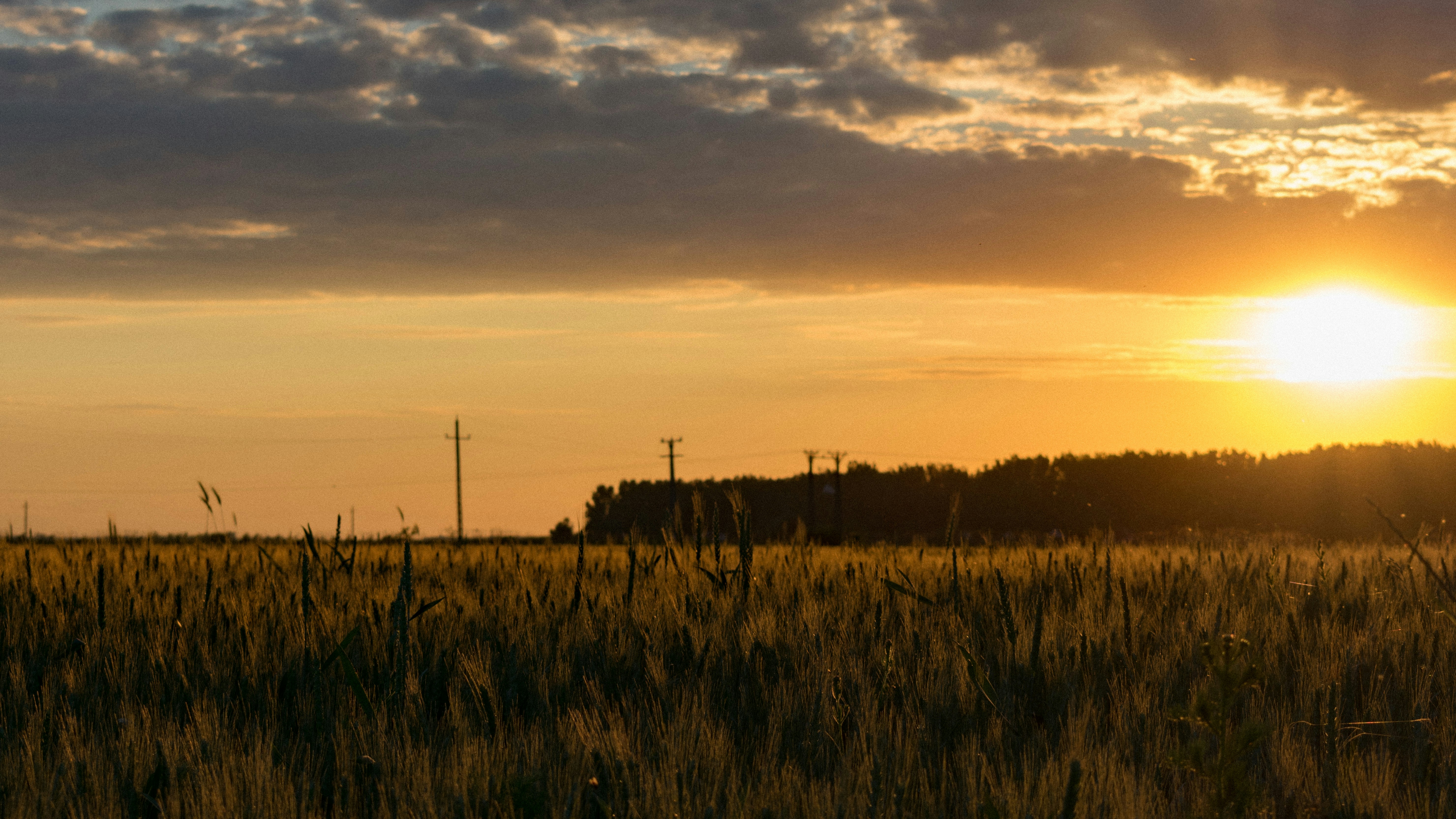 Photo by gabor_veres