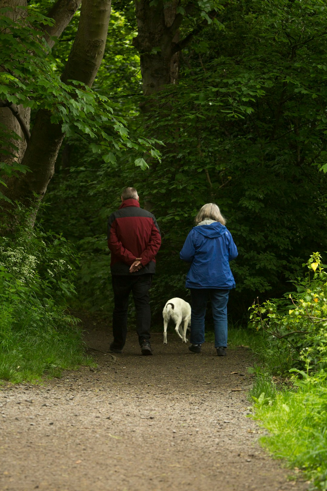 retired couple walking