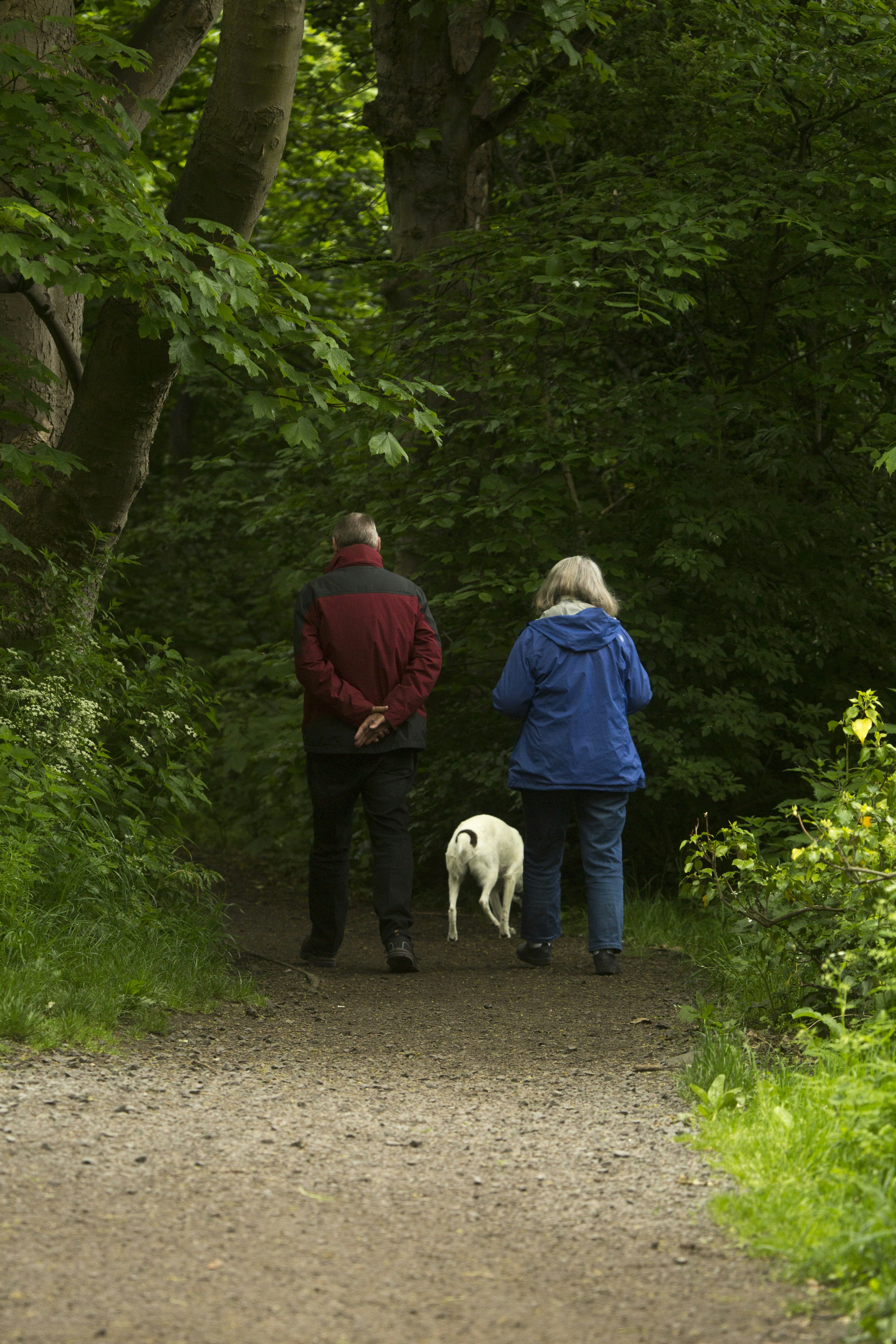 Social Security Retirement Ages Chart