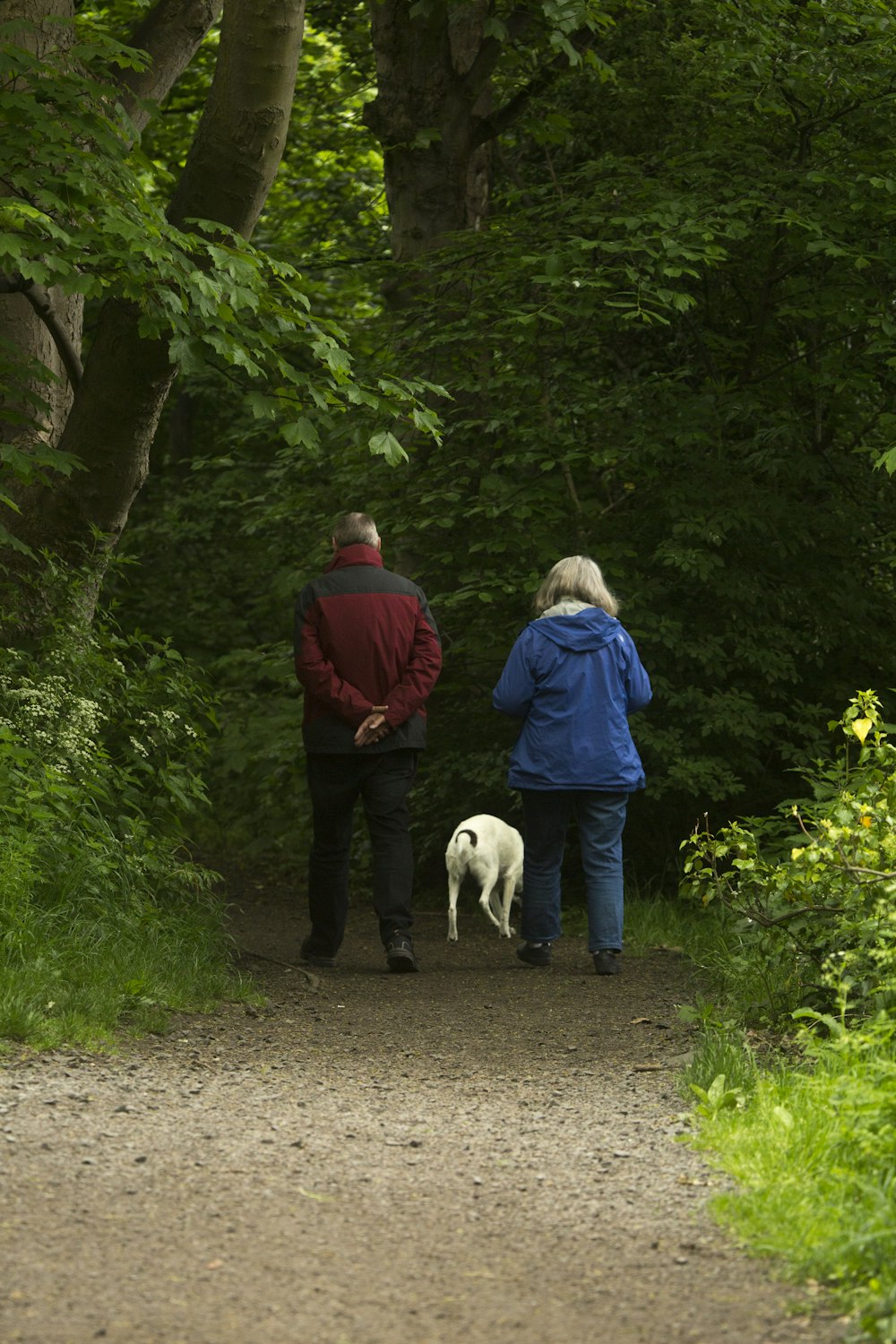 homme et femme avec chien blanc marchant sur un chemin de terre pendant la journée