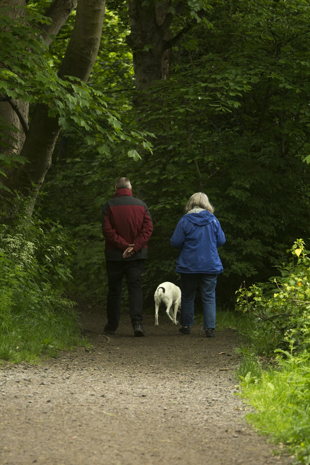 Mann und Frau mit weißem Hund gehen tagsüber auf Feldweg