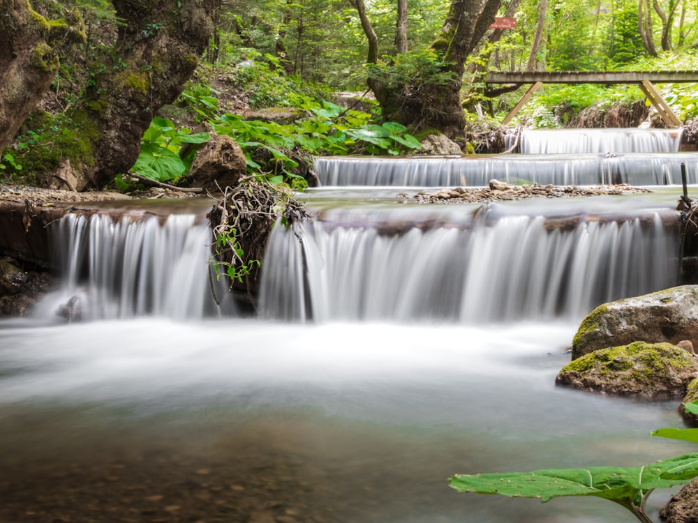 water falls in the forest