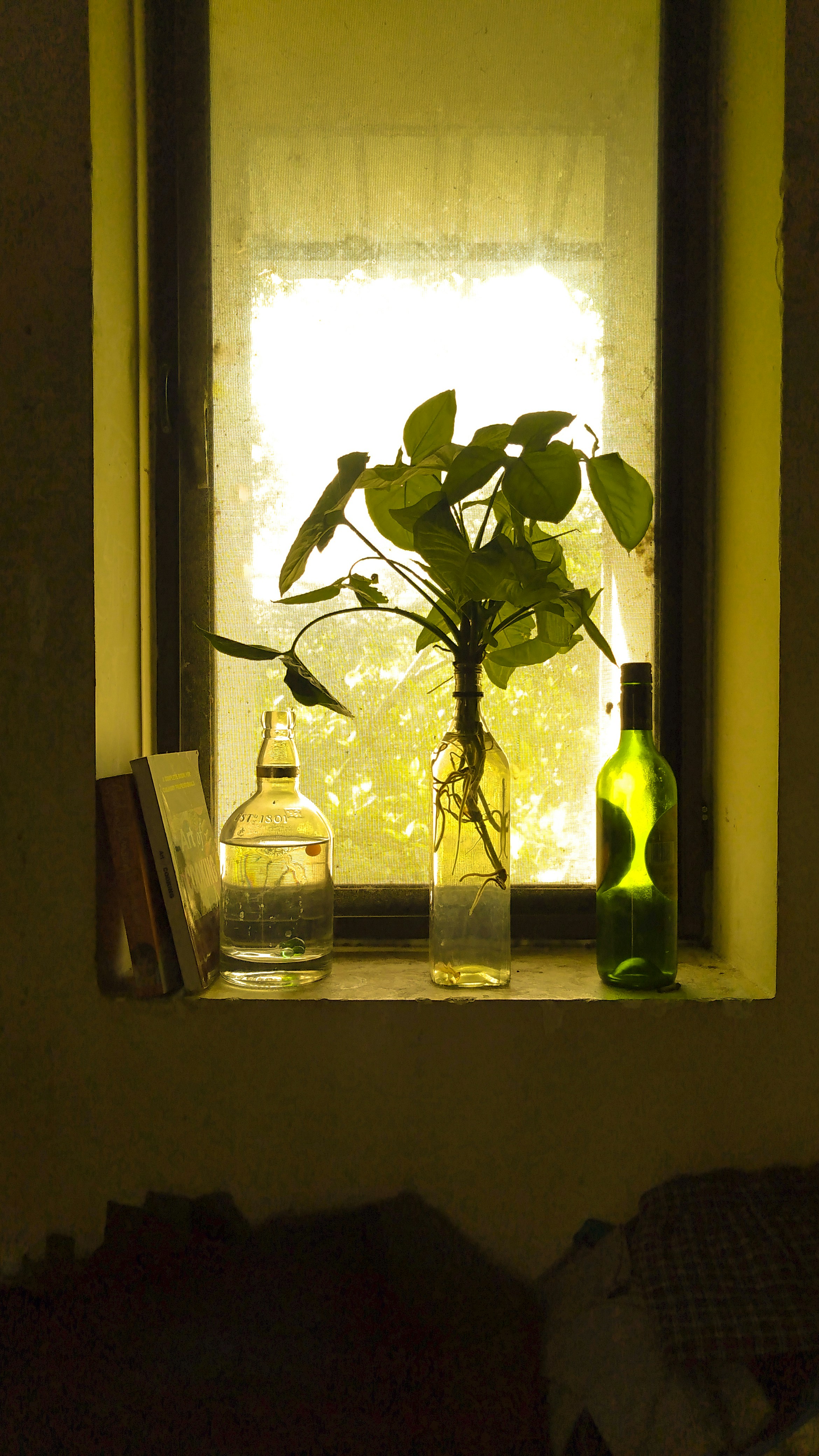 Basil Eliyas (@basil_wayfarer) | Communauté photos Unsplash