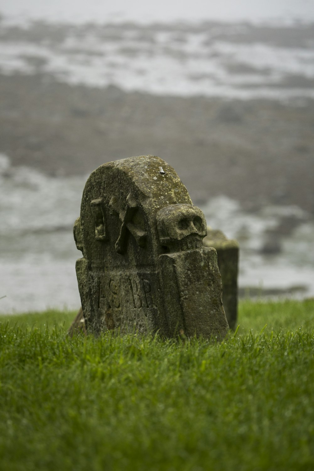 gray stone on green grass field during daytime