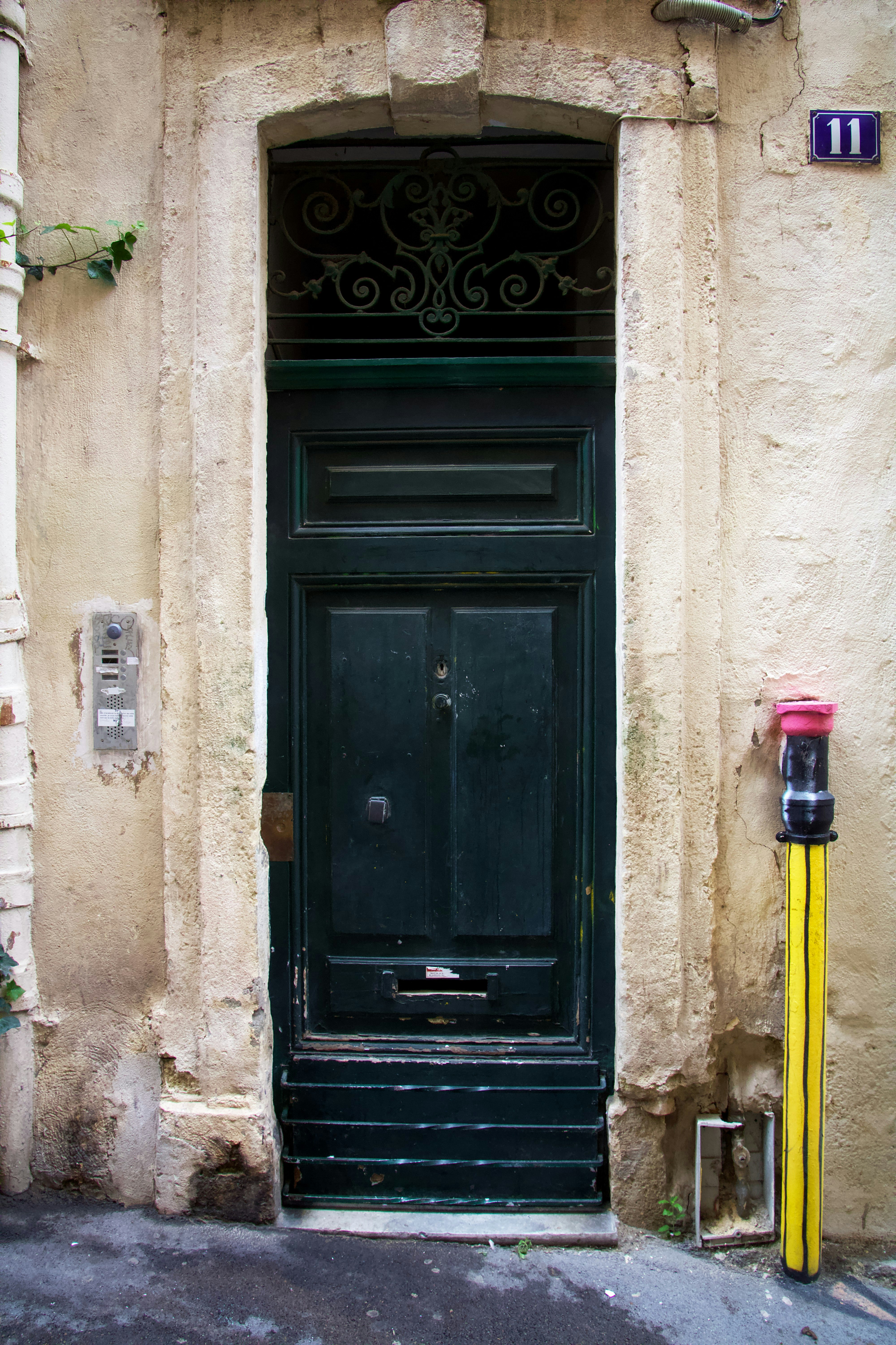 black wooden door with green plant