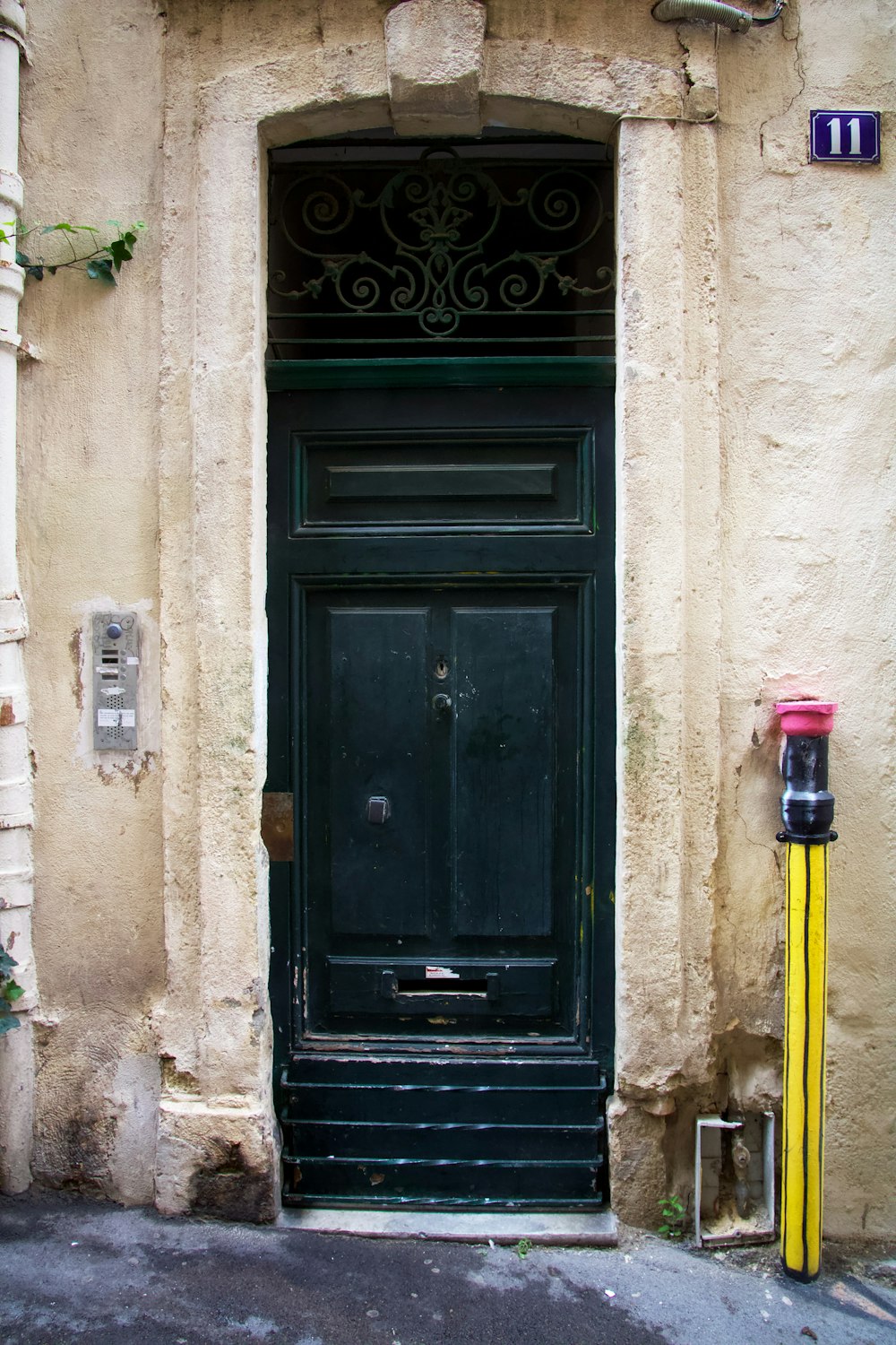 black wooden door with green plant