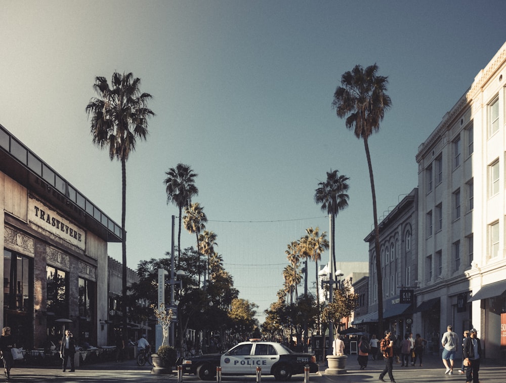 cars parked on street near building during daytime