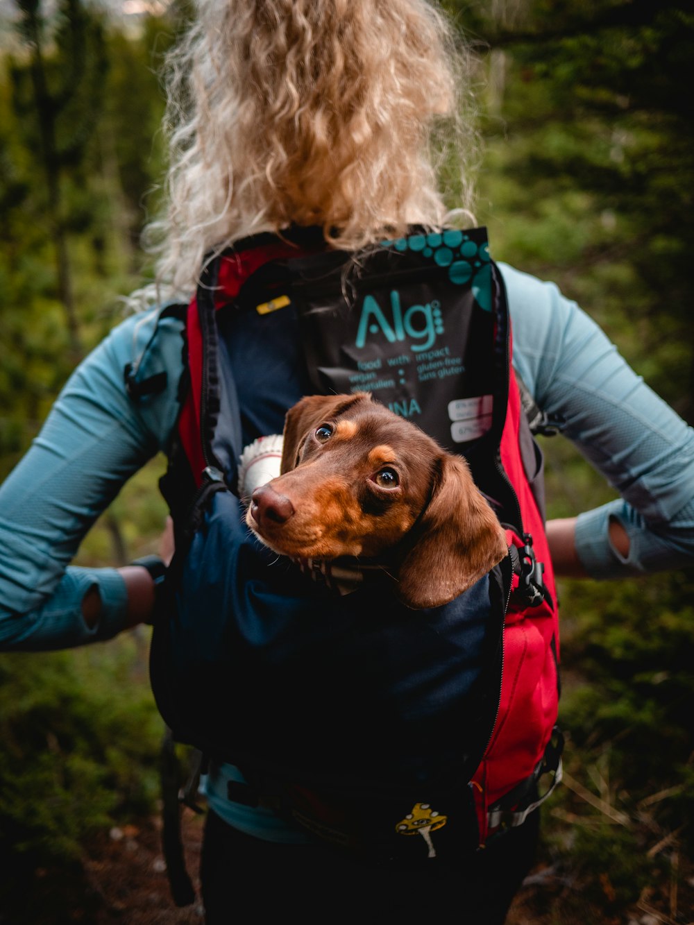 woman in green and red jacket carrying brown short coated dog