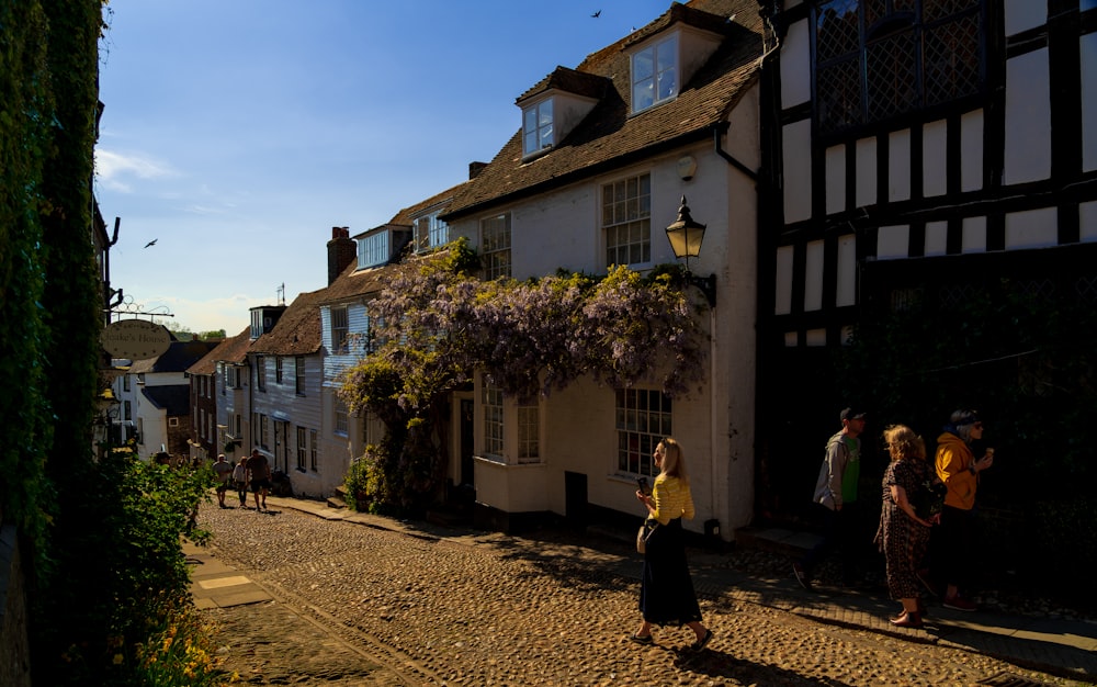 people walking on street near houses during daytime