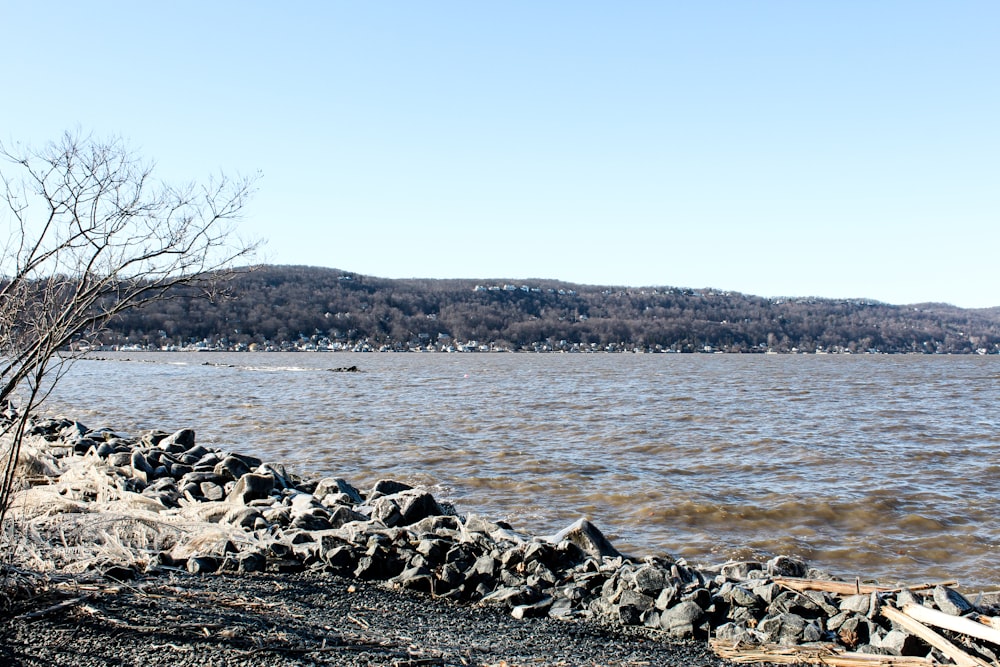 gray rocks on shore during daytime