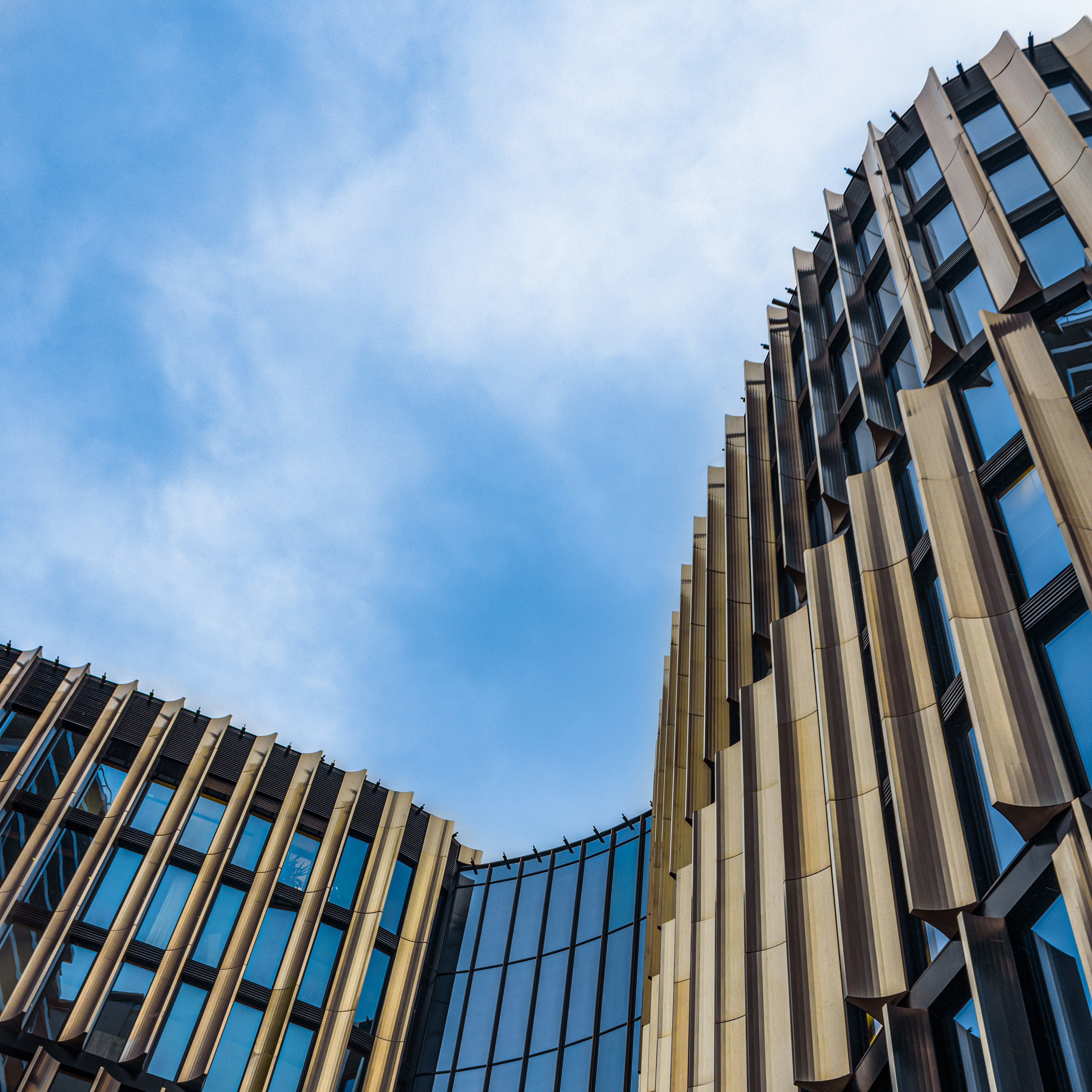 Photo by duytung_tran