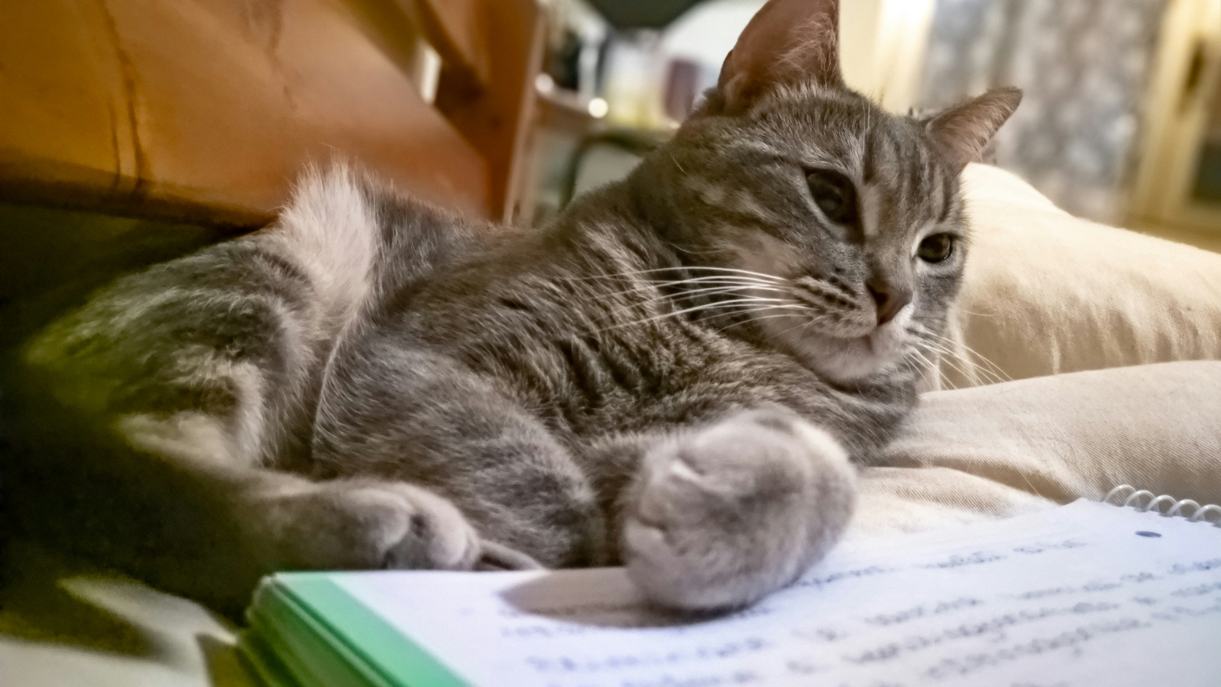 14-Day Tagalog Challenge: Beginner’s Roadmap for Heritage Learners & Enthusiasts